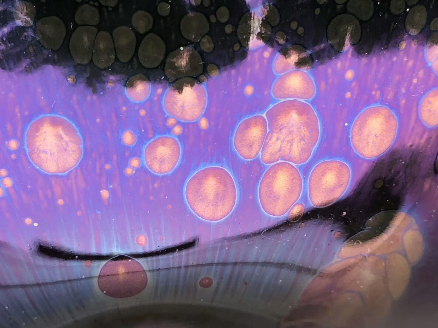 mmexport1555139322549