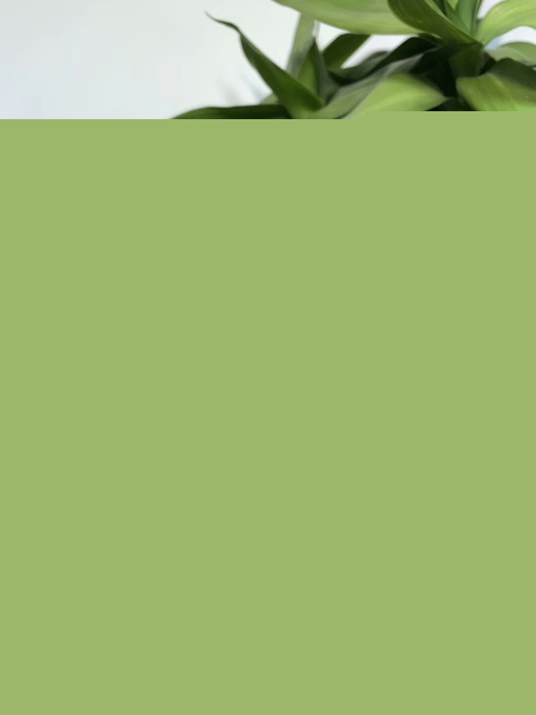 mmexport1555231547356