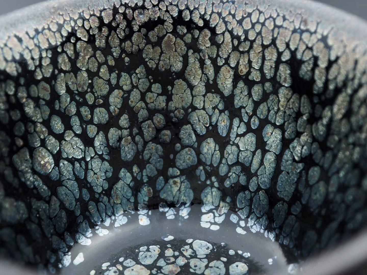 mmexport1555827302919