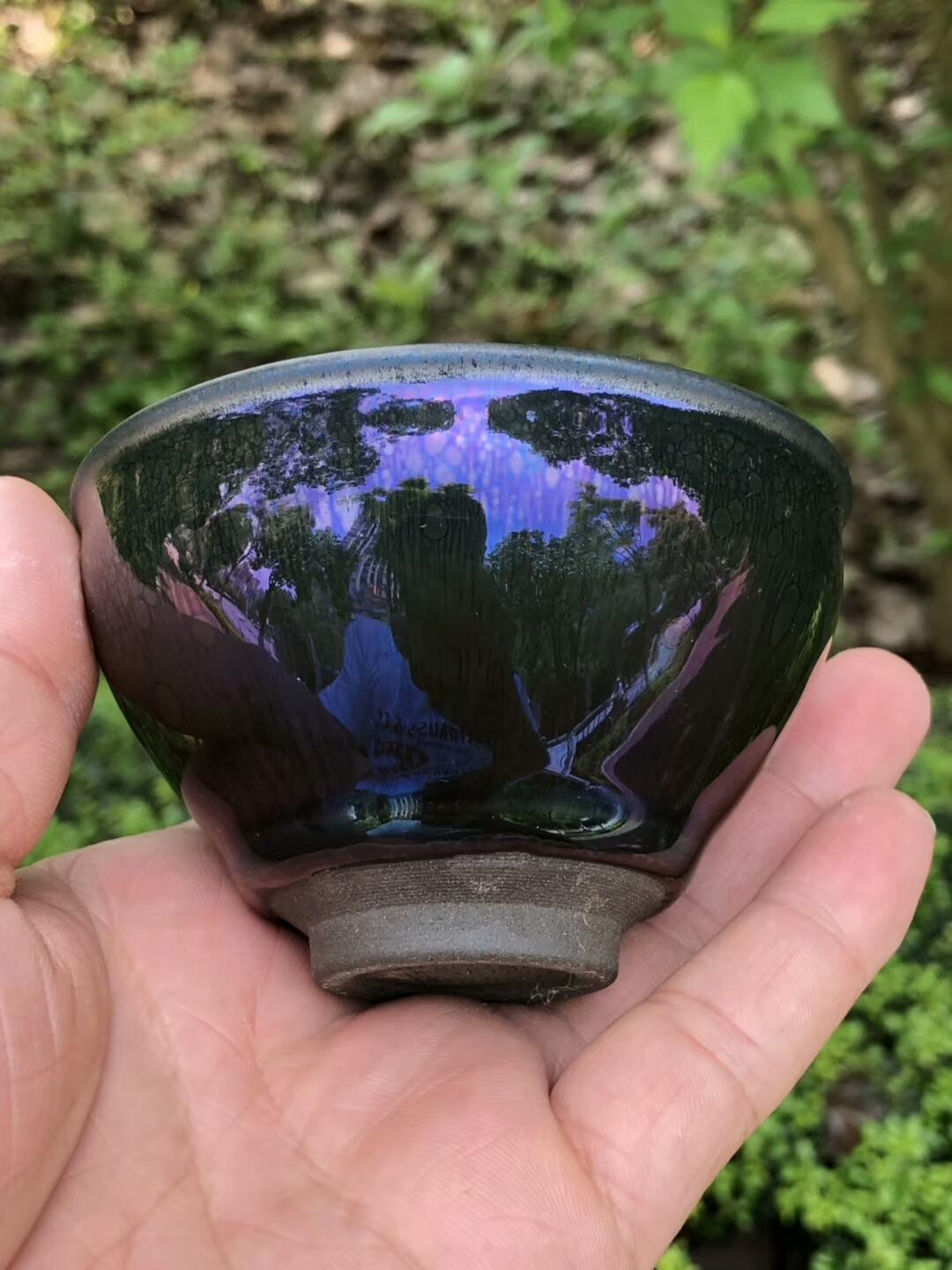 mmexport1555837488105