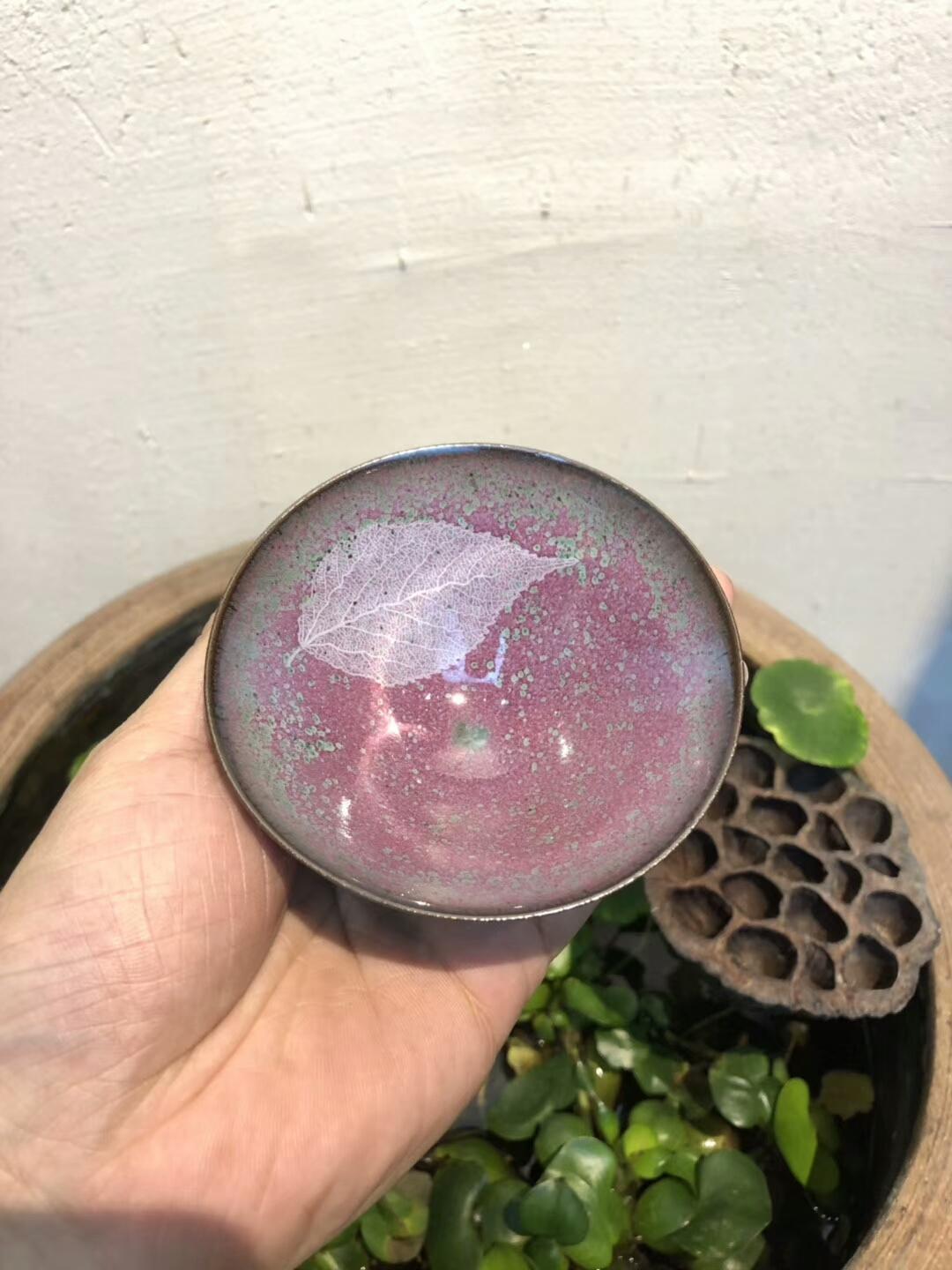 mmexport1556082477385