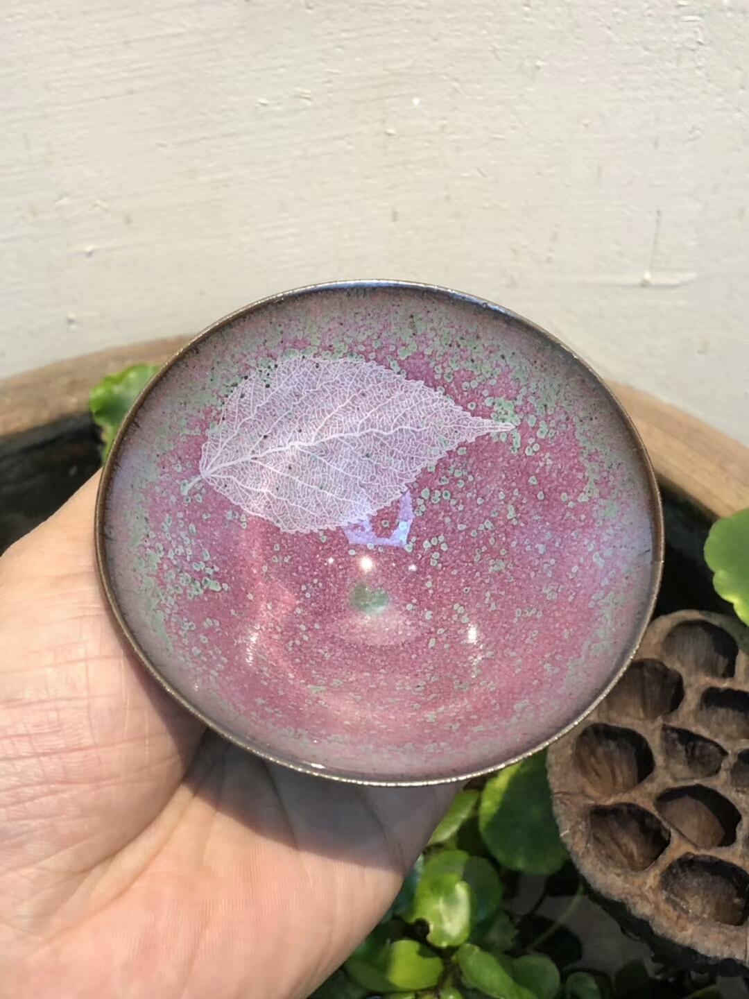 mmexport1556082484523