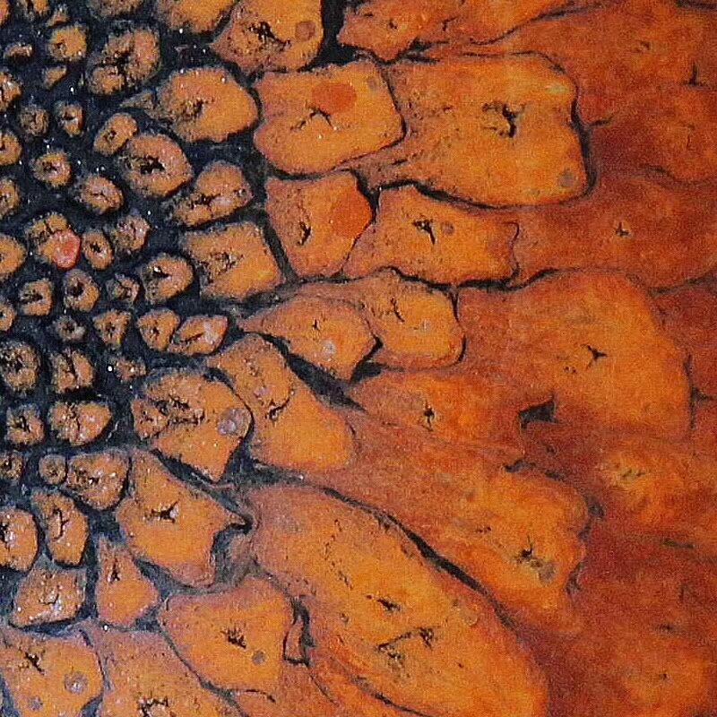 建盞大師陳其富，金扣柿紅鷓鴣斑缽形盞  規(guī)格8.8cm*5.3cm